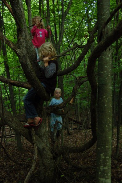 three kids in a tree