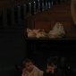 Church Floors