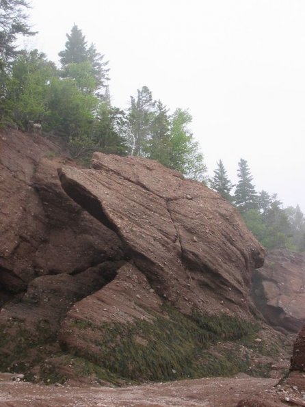 Hopewell Rocks