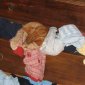 Lonely Cat