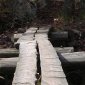 Rickety
