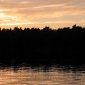 More Sunset