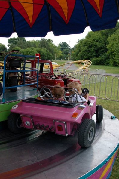 Goooo speed racers!
