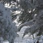 Snow Church