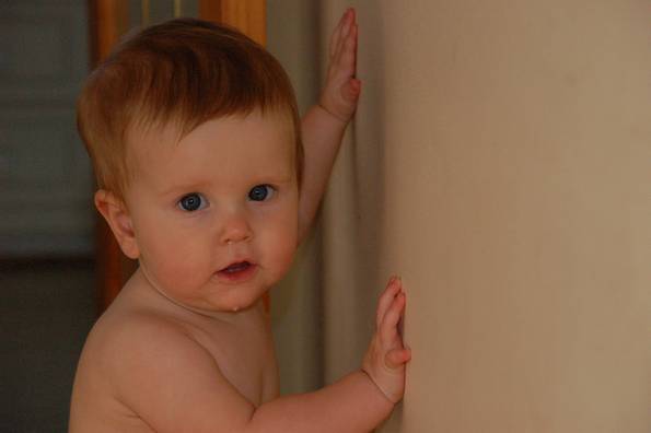 Spiderbaby