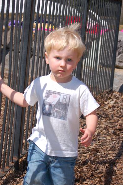 Fence Smackin