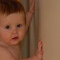 Spiderbaby