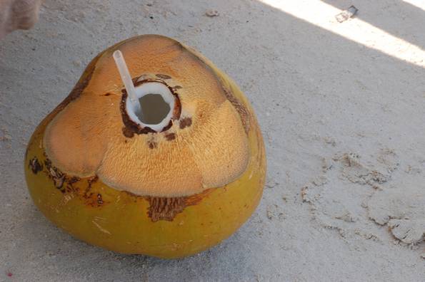 Coconut