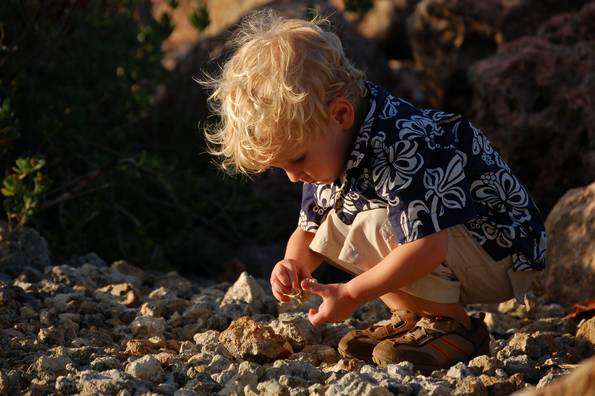Rocks