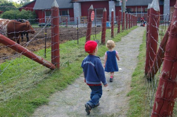 Strollin' to the barn