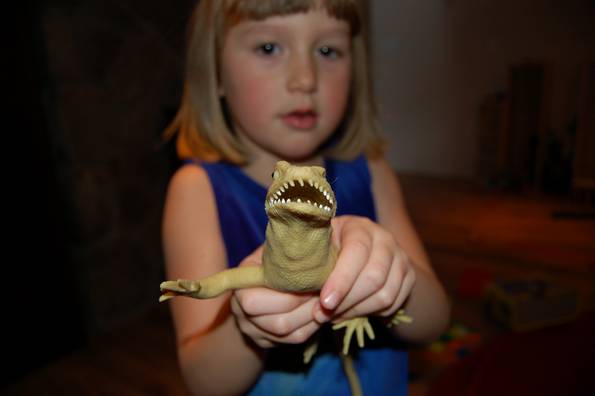 Lizard
