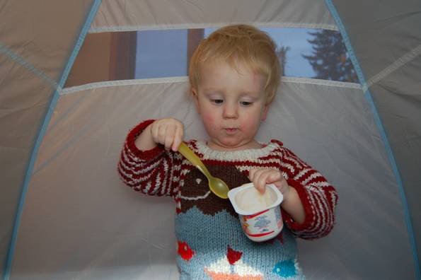 Tent Yogurt