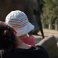 Elephant�