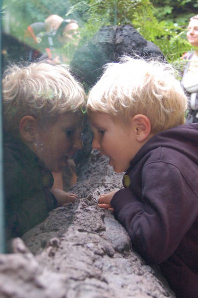 Here fishie, fishie, fishie