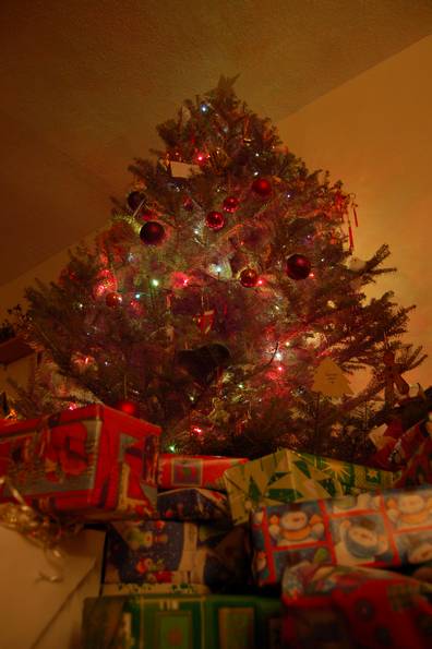 The Tree