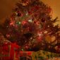 The Tree